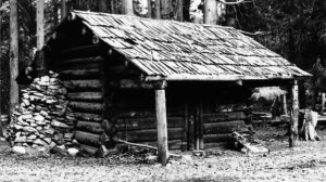 Image of a small log cabin