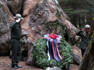 Image of Sequoia and Kings Canyon National Park rangers saluting next to a wreath laid before the General Grant Tree.