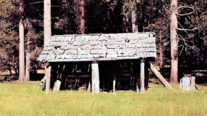 Image of the Barton-Lackey Cabin in Scaffold Meadow before it was restored