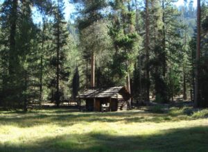 Bartin Lackey Cabin in the tree shadows