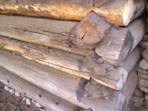 Corner of a log cabin