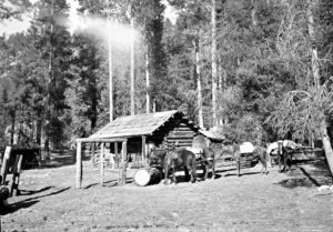 View of cabin with saddle horse and pack train in front