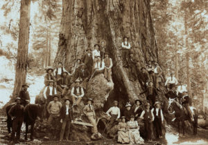 Image of women, men, and horses in front of the General Grant Tree