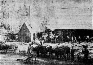 Image of a sawmill with livestock in front