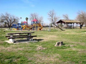 Park scene with a picnic table on a lawn and child's play structure in the background on a sunny day.