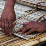 NATIVE AMERICAN CONSERVATION