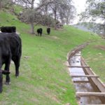 KAWEAH DELTA WATER CONSERVATION DISTRICT
