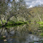 HOMER RANCH PRESERVE