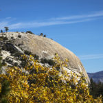 GIANT SEQUOIA NATIONAL MONUMENT