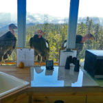 BUCK ROCK FIRE LOOKOUT