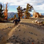 GOLDEN TROUT WILDERNESS