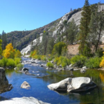 SEQUOIA NATIONAL FOREST