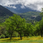 CASE MOUNTAIN EXTENSIVE RECREATION MANAGEMENT AREA