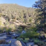 SOUTH SIERRA WILDERNESS